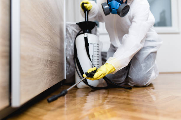 Best Rat Extermination Near Me  in Woodland Heights, PA